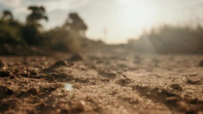 挪亞土壤重金屬污染檢測服務 以精準數據助力環境治理，凝聚土壤生命力