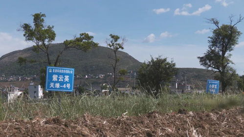 省生態(tài)環(huán)境廳深入個舊市調(diào)研 力促土壤污染防治與農(nóng)村污水治理工作再上新臺階